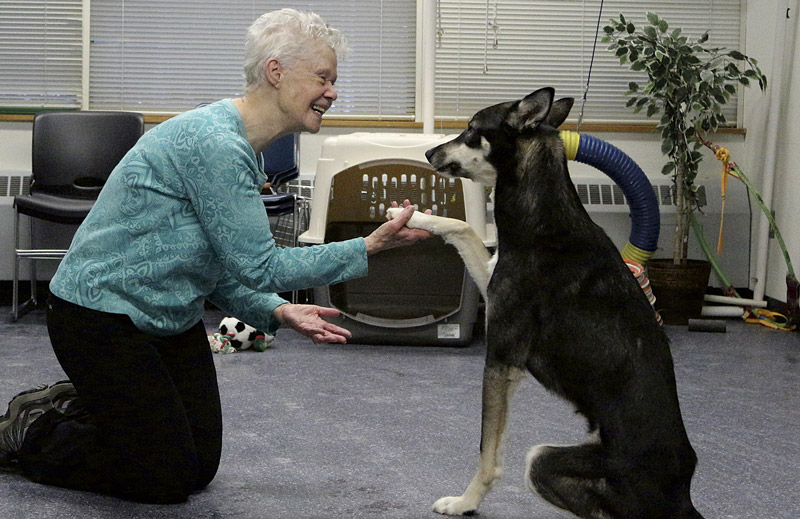 https://www.seniorvoicealaska.com/home/cms_data/dfault/photos/stories/id/1/4/1014/s_top