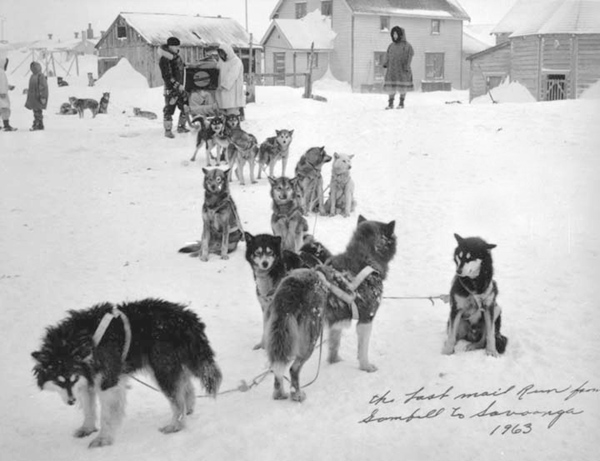 The last dog sled mail service - Senior Voice